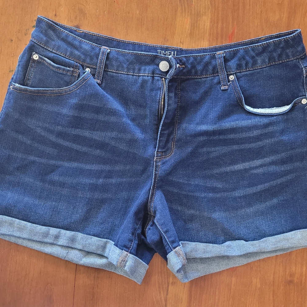 Time and Tru shorts size 16